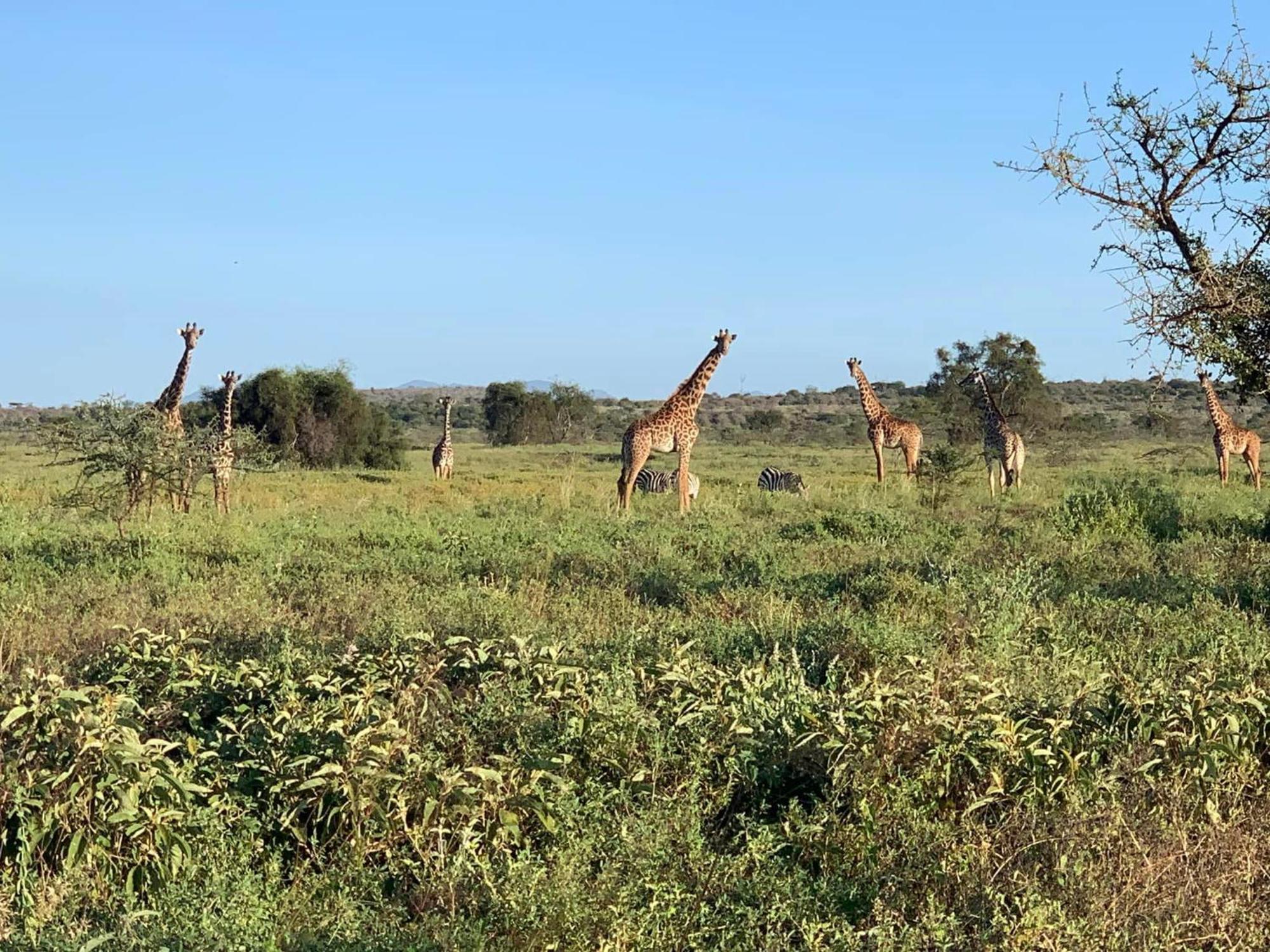 Amboseli Discovery Camp Buitenkant foto