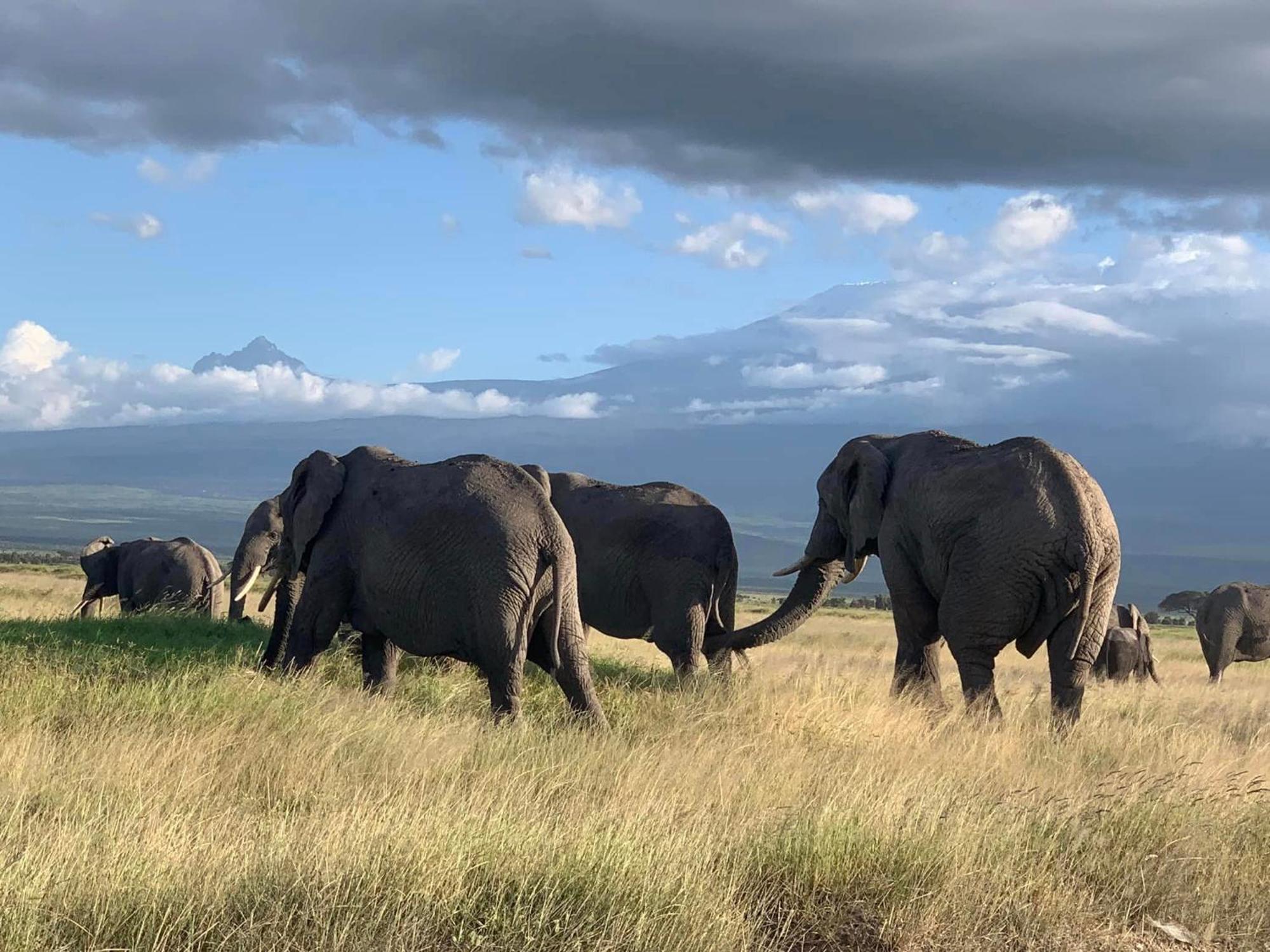 Amboseli Discovery Camp Buitenkant foto