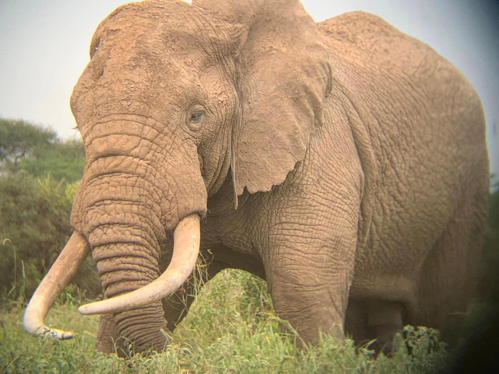 Amboseli Discovery Camp Buitenkant foto