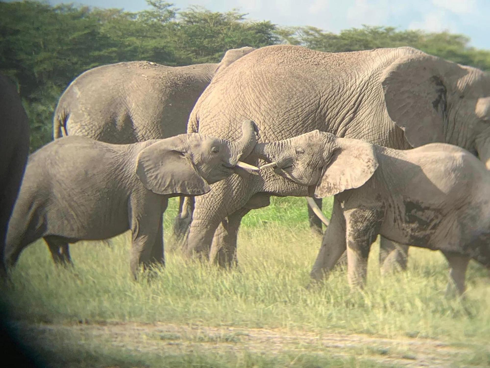 Amboseli Discovery Camp Buitenkant foto