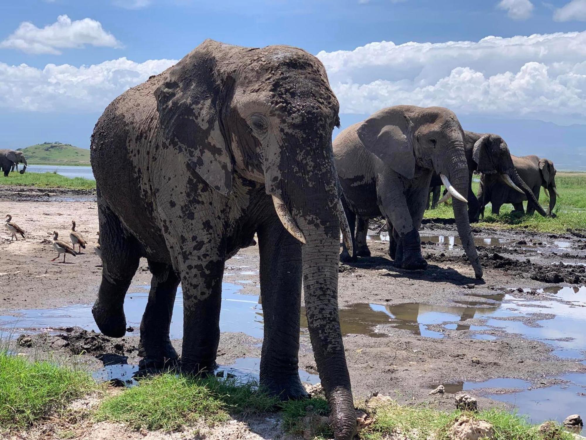 Amboseli Discovery Camp Buitenkant foto