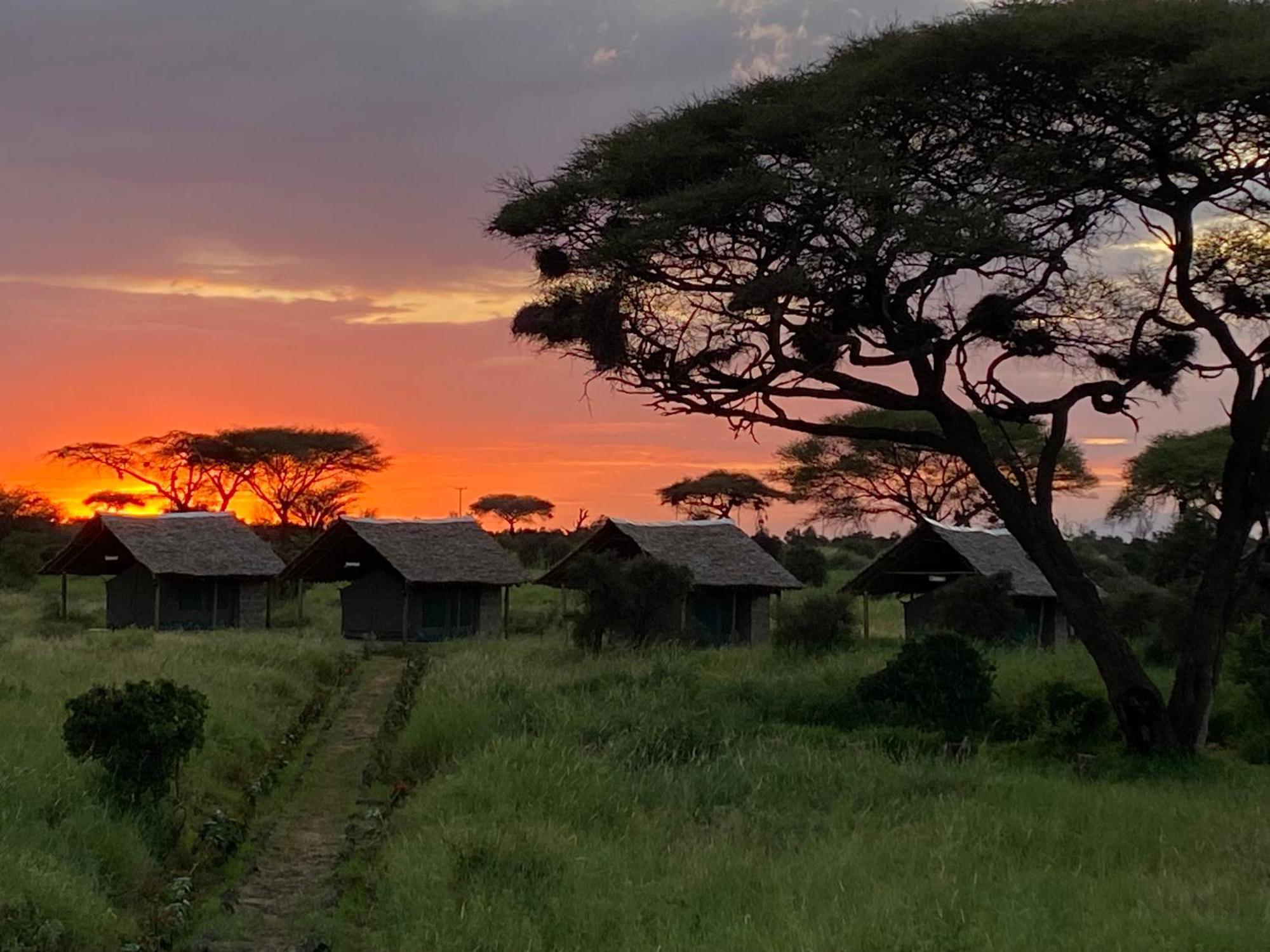 Amboseli Discovery Camp Buitenkant foto