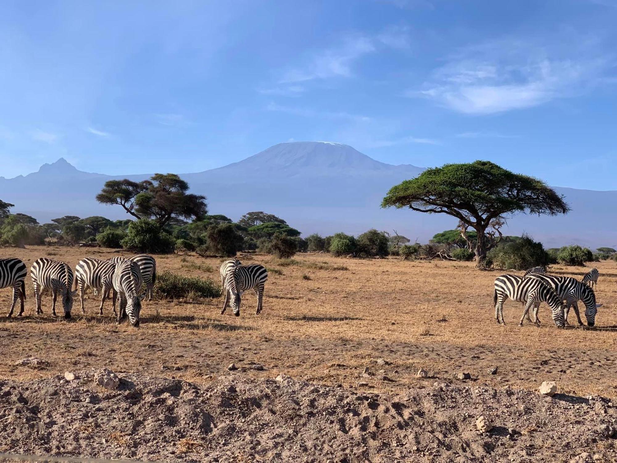 Amboseli Discovery Camp Buitenkant foto