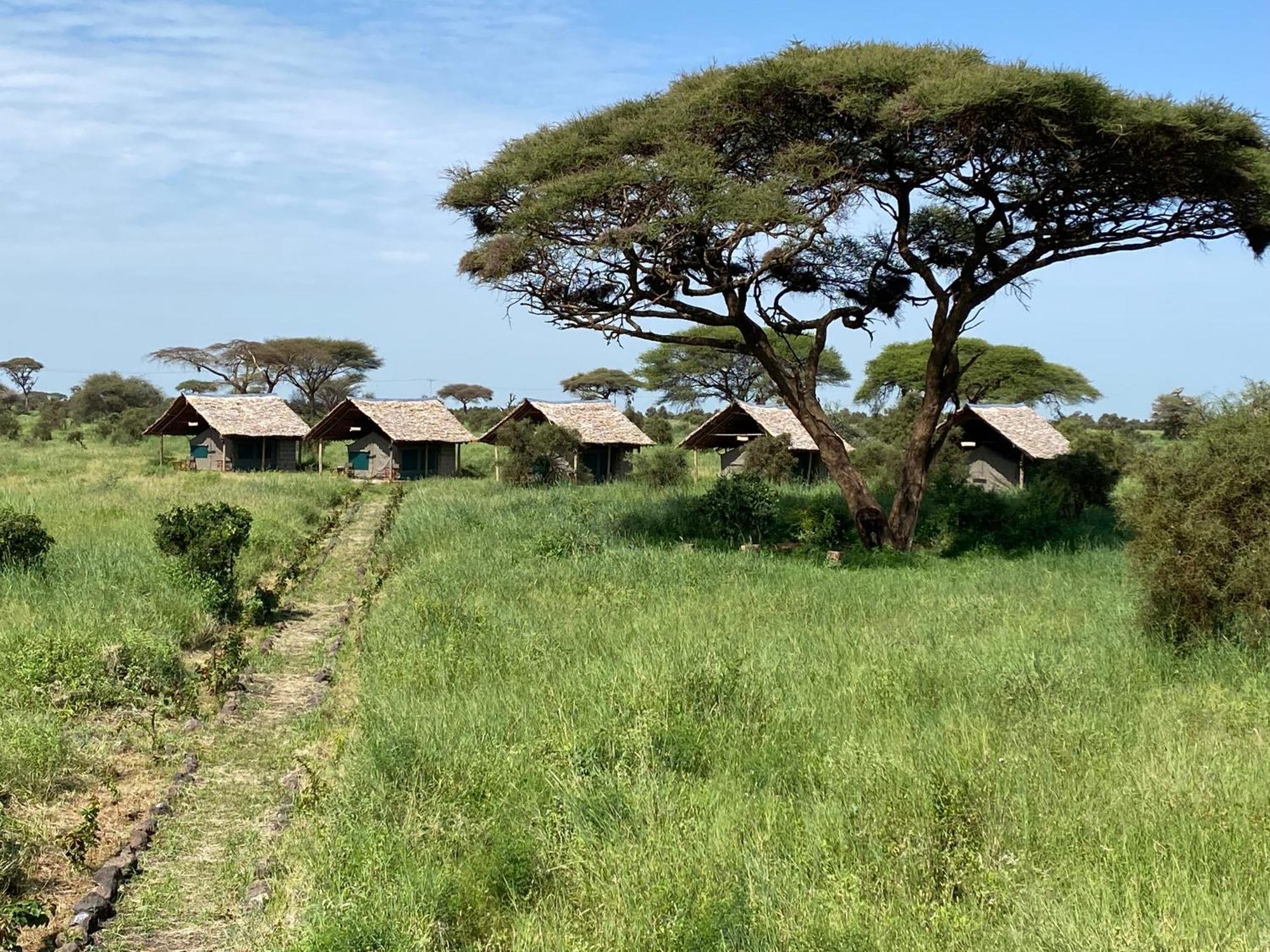 Amboseli Discovery Camp Buitenkant foto