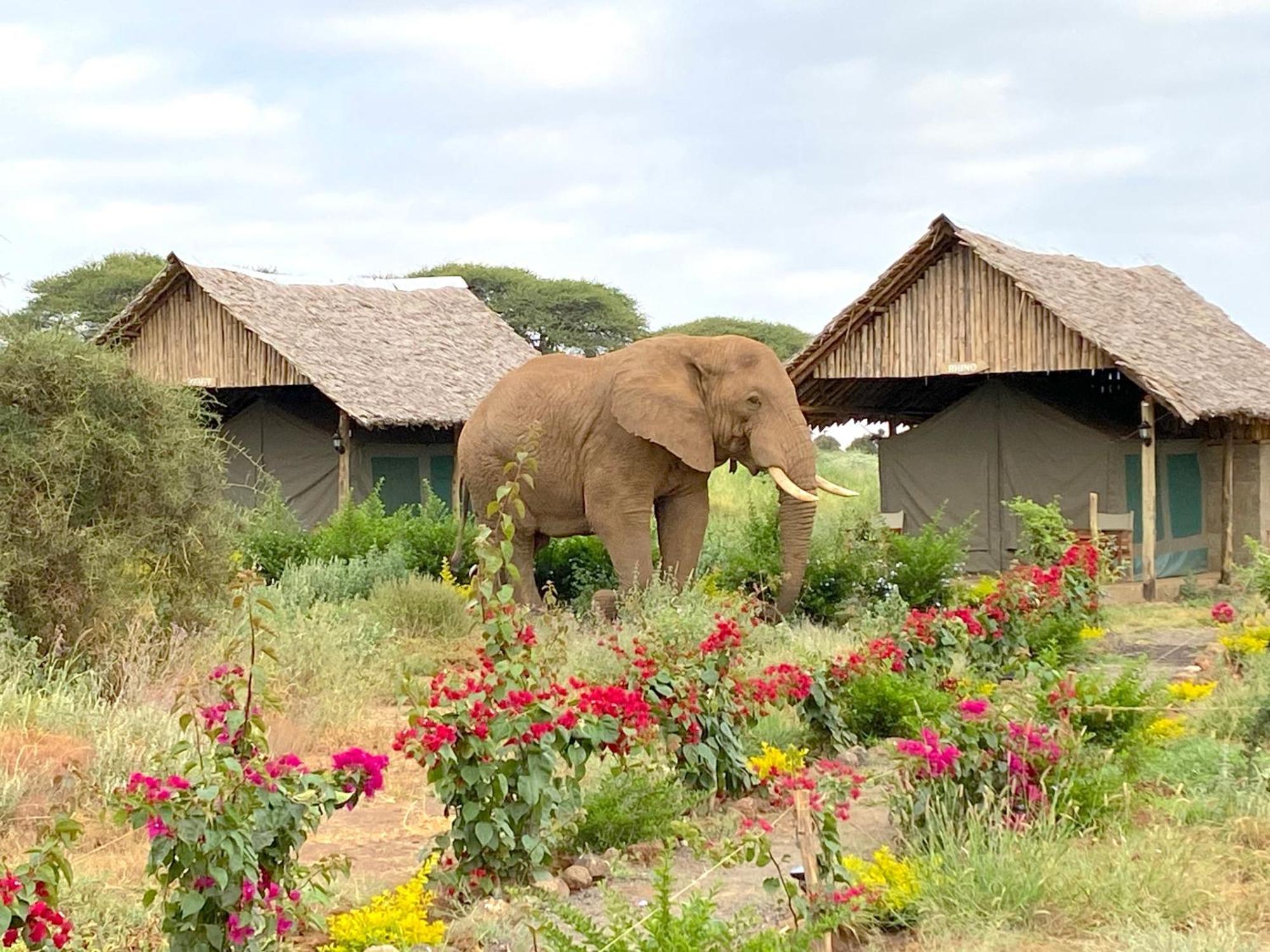 Amboseli Discovery Camp Buitenkant foto