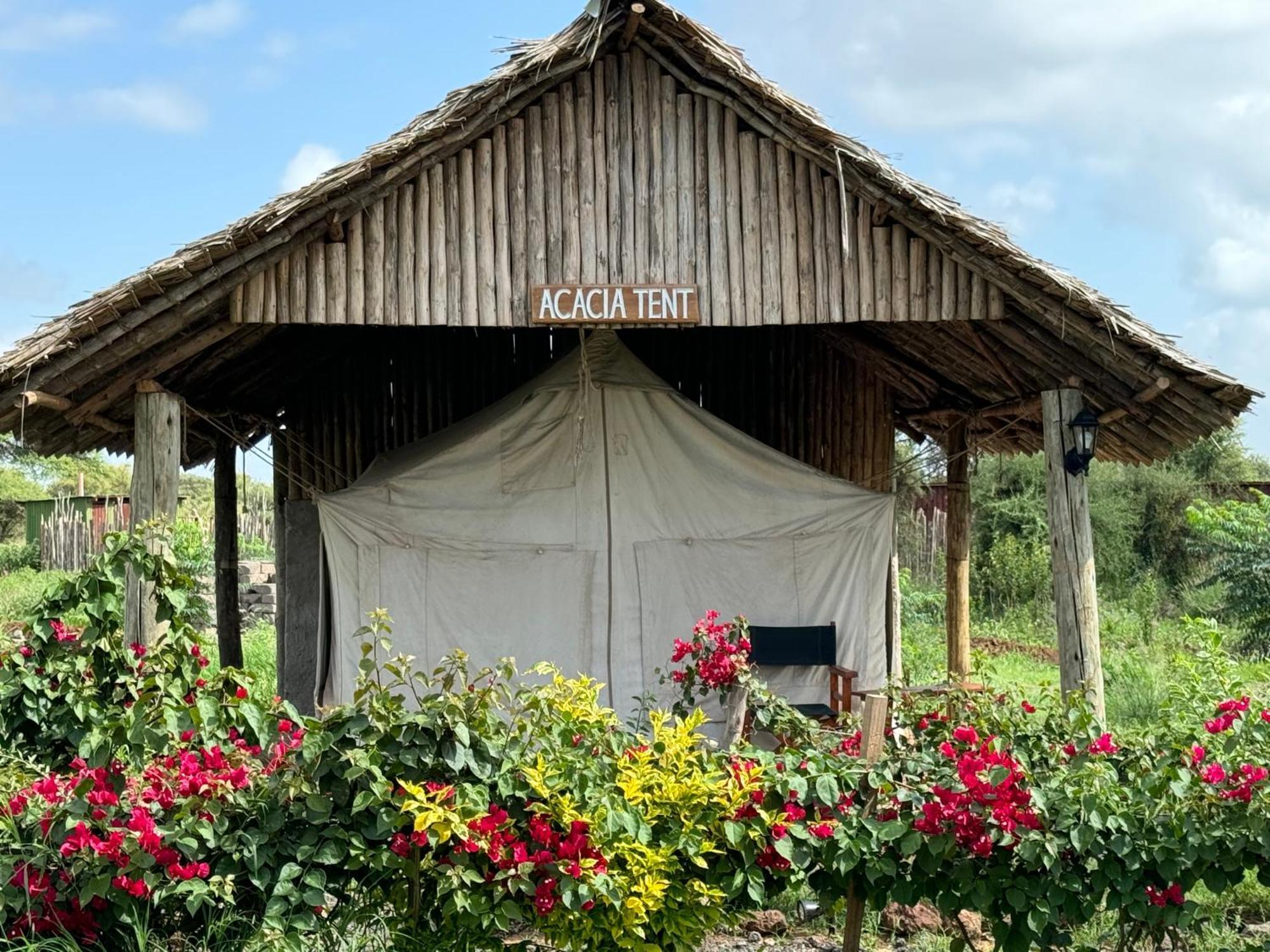 Amboseli Discovery Camp Buitenkant foto